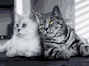 Алмазна мозаїка вишивка Мрійливі коти Веселі коти на підрамнику повна 5d 40х50 178853 фото