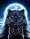 Набор алмазной мозаики вышивки Милые Котики черный котенок кошка кот ночь Звезда полная 5d наборы 30х40 см X493 фото 1