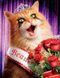 Алмазная вышивка" Кот дарит цветы " вечеринка, цветы,играет,малыш,полная выкладка ,мозаика 5d, наборы 30х40 см А925 фото 1
